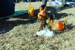 resIMG_20141101_164902_3640.JPG